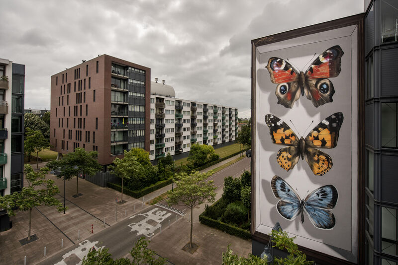 Blind Walls Gallery | Graphic Matters