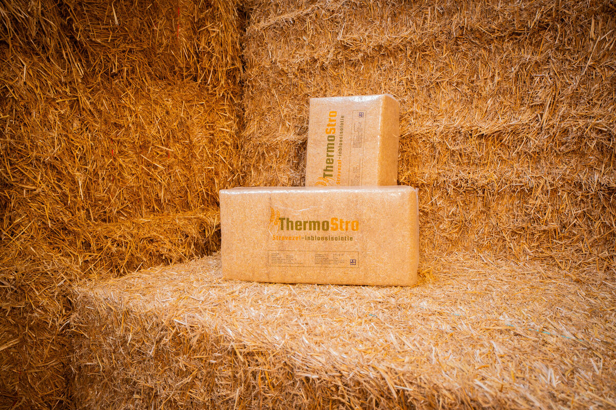 De ontwerpopgave: natuur in je muur