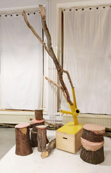 Dead Wood Alive | Mirte van Laarhoven