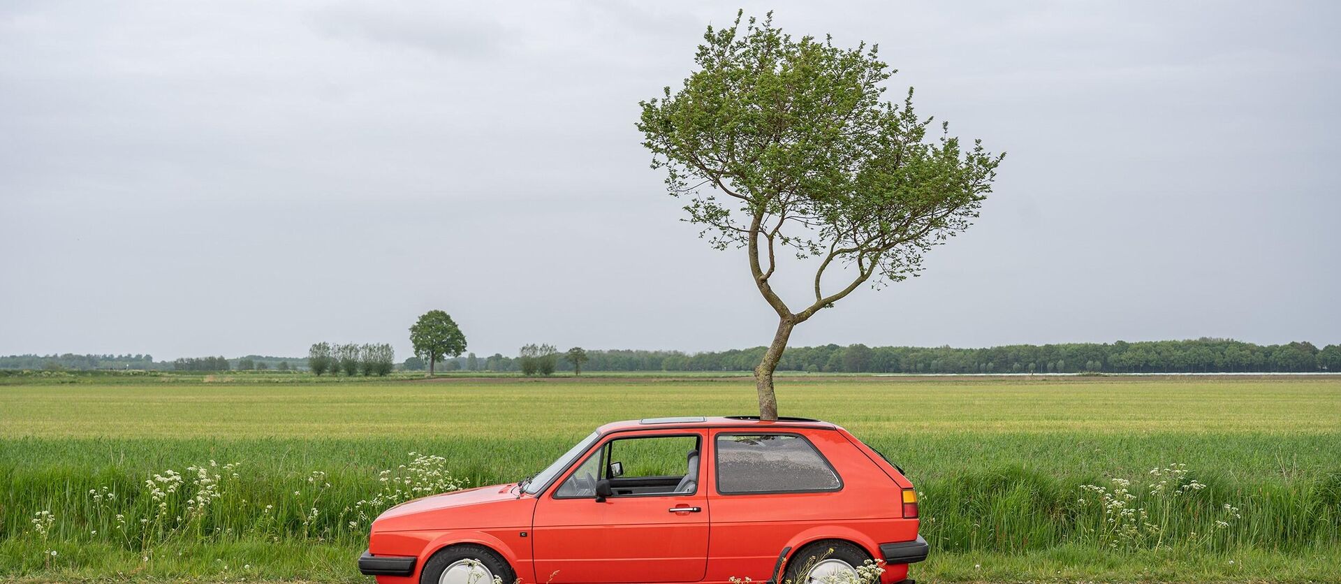 Expositie Stad = Natuur