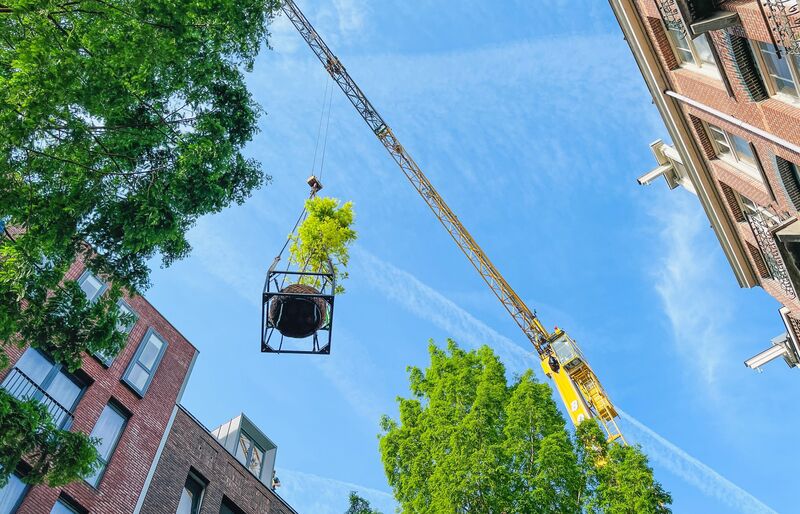 Het belang van stadsnatuur