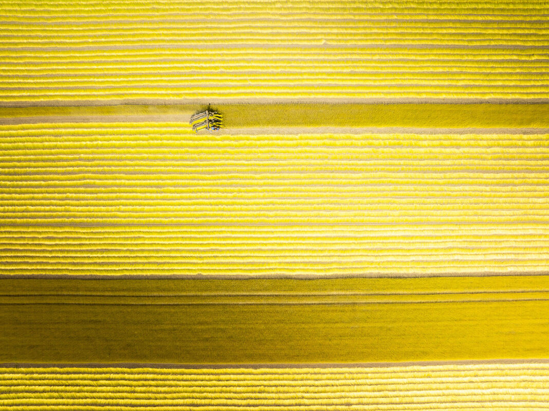 Het ontwerp dat we zoeken...