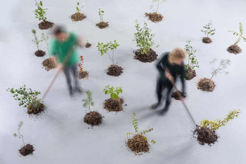 Het succes van de makersregeling in 2019