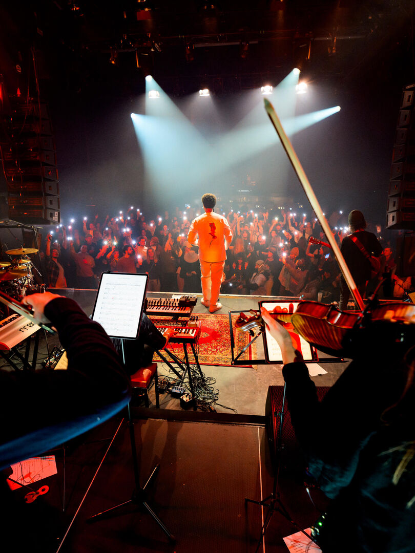 Kopie van MassiRelease-willemvsbreugel-250206-DSC_2955Tekengebied 2