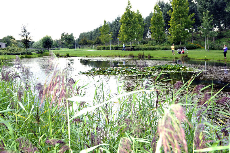 Kunstenaars gezocht voor Salderespark in Best