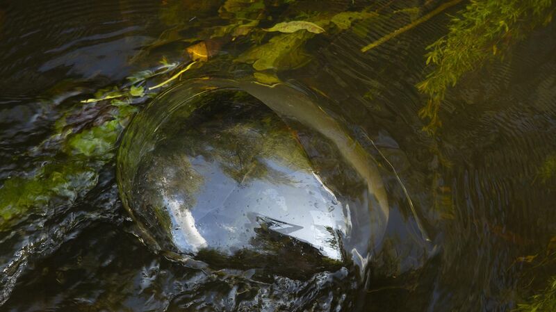 Marte Mei van Haaster laat de Dommel spreken met Will Water Want