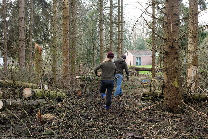 Natuurlijke processen als beginpunt 