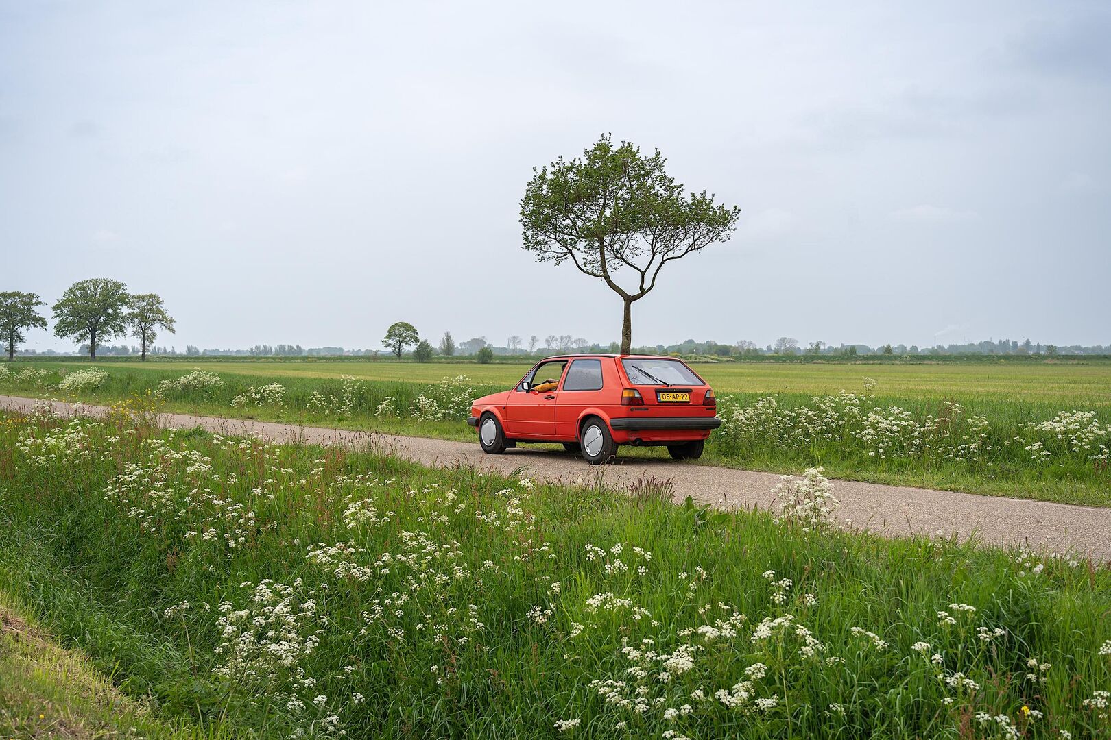 Officiële opening expositie Stad = Natuur