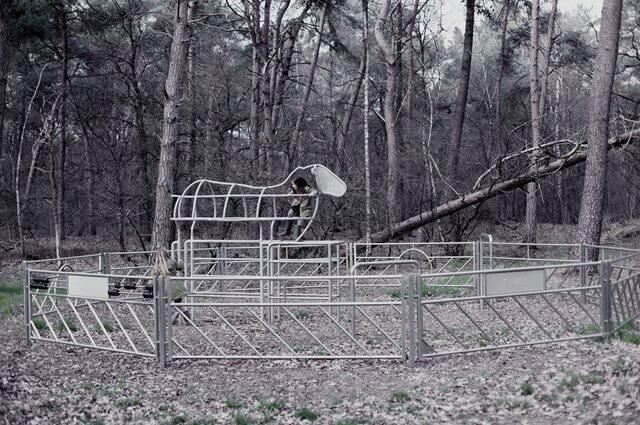 schaap-scheer-speel-kraal