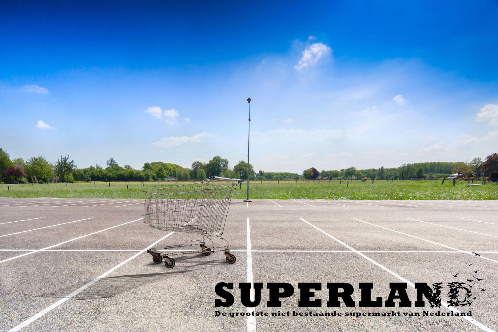 Superland | Matthijs Bosman