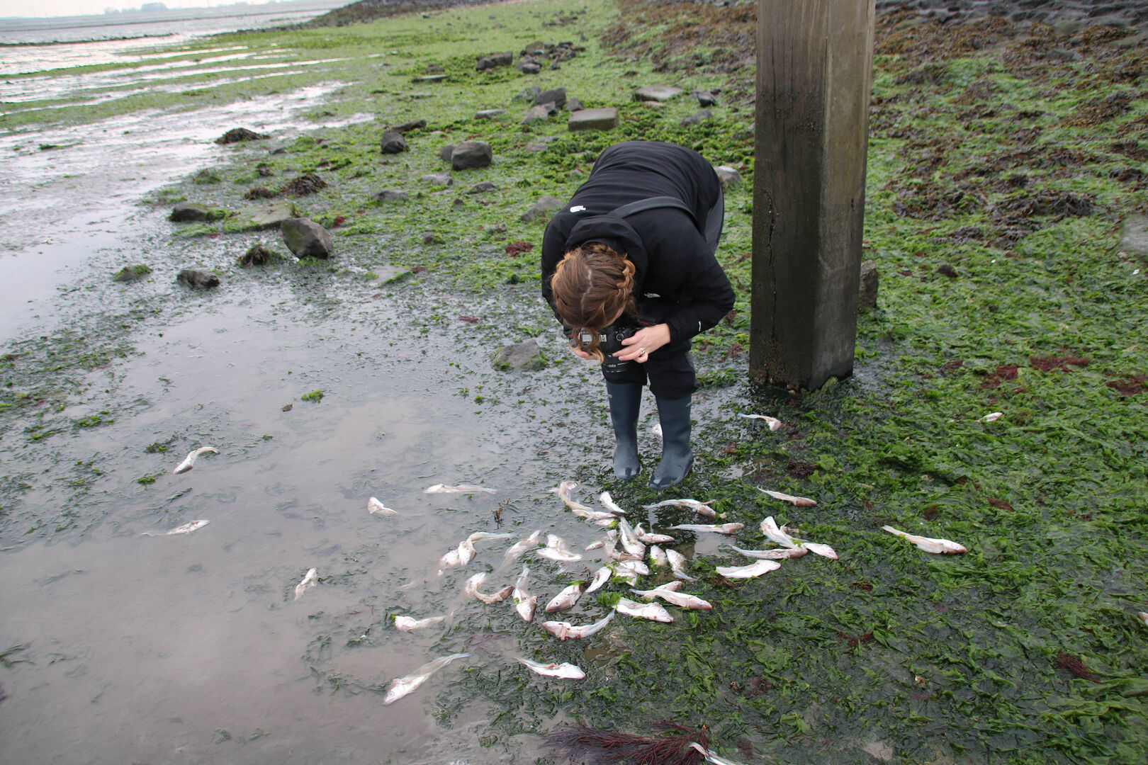 Van wie is het water?