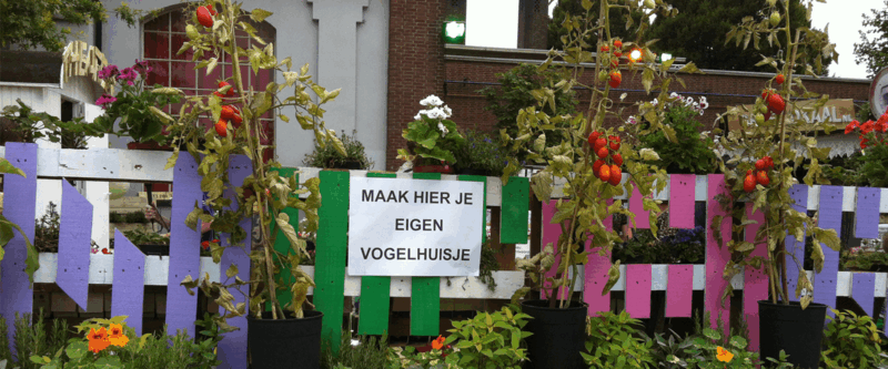 Vijf projecten om jaloers op te zijn