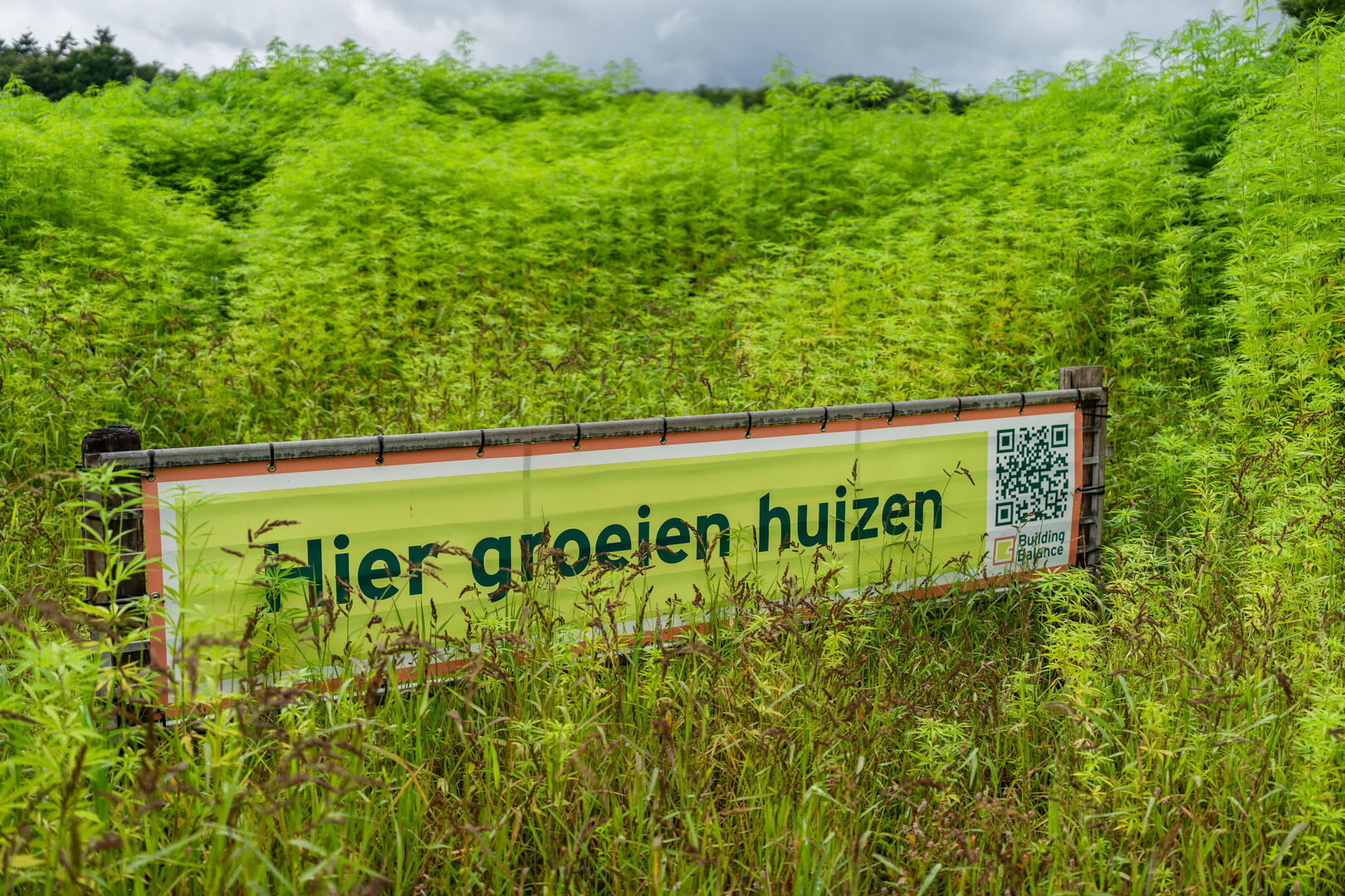 Workshops De Kunstopdracht: natuur in je muur
