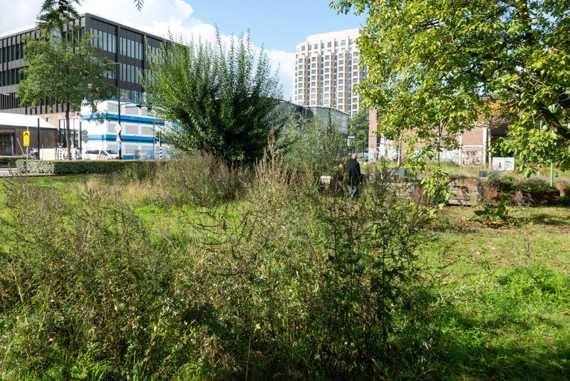 Zaailingenwandelingen