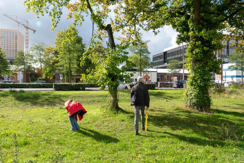 Zaailingwandelingen door de Spoorzone